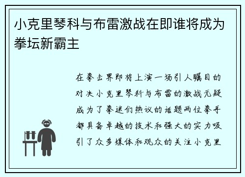 小克里琴科与布雷激战在即谁将成为拳坛新霸主